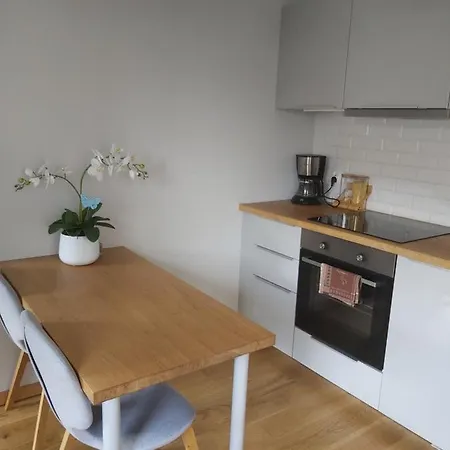 Apartmán Mieszkanie Z Ogrodkiem W Ustroniu Ustroň