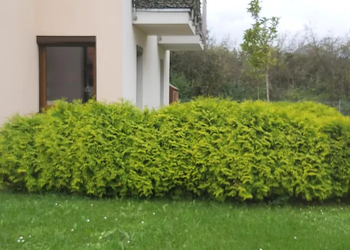 דירה Mieszkanie Z Ogrodkiem W Ustroniu אוסטראון