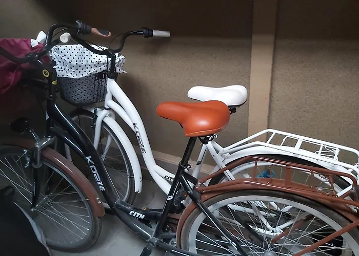 Mieszkanie Z Ogrodkiem W Ustroniu אוסטראון