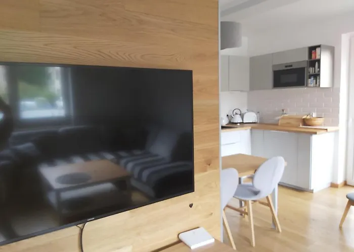 Mieszkanie Z Ogrodkiem W Ustroniu *