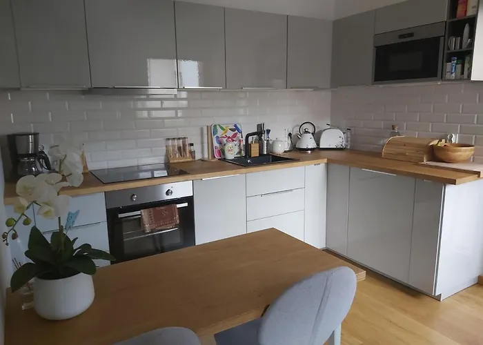 Mieszkanie Z Ogrodkiem W Ustroniu *