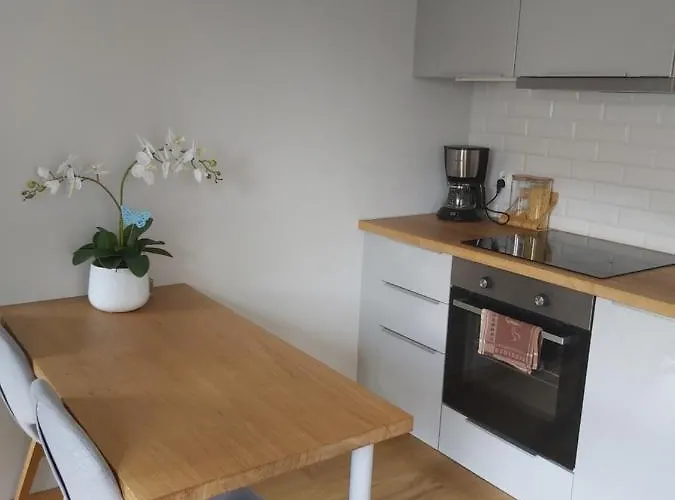 דירה Mieszkanie Z Ogrodkiem W Ustroniu אוסטראון